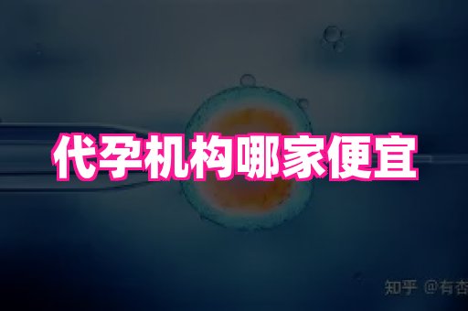 海口助孕网站 3