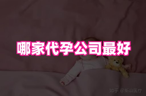 海口助孕网站 4